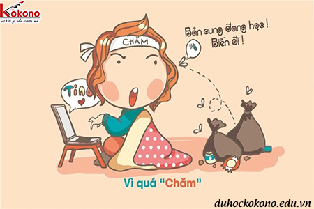 Phân biệt不(bù) và 没 (méi) – Ngữ pháp tiếng Trung