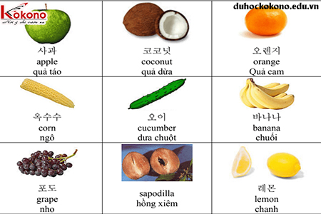 Vì sao nên học từ vựng tiếng Hàn bằng hình ảnh?