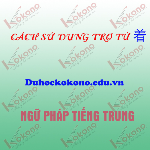 Cách sử dụng trợ từ 着